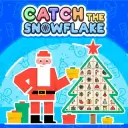 Catch The Snowflake